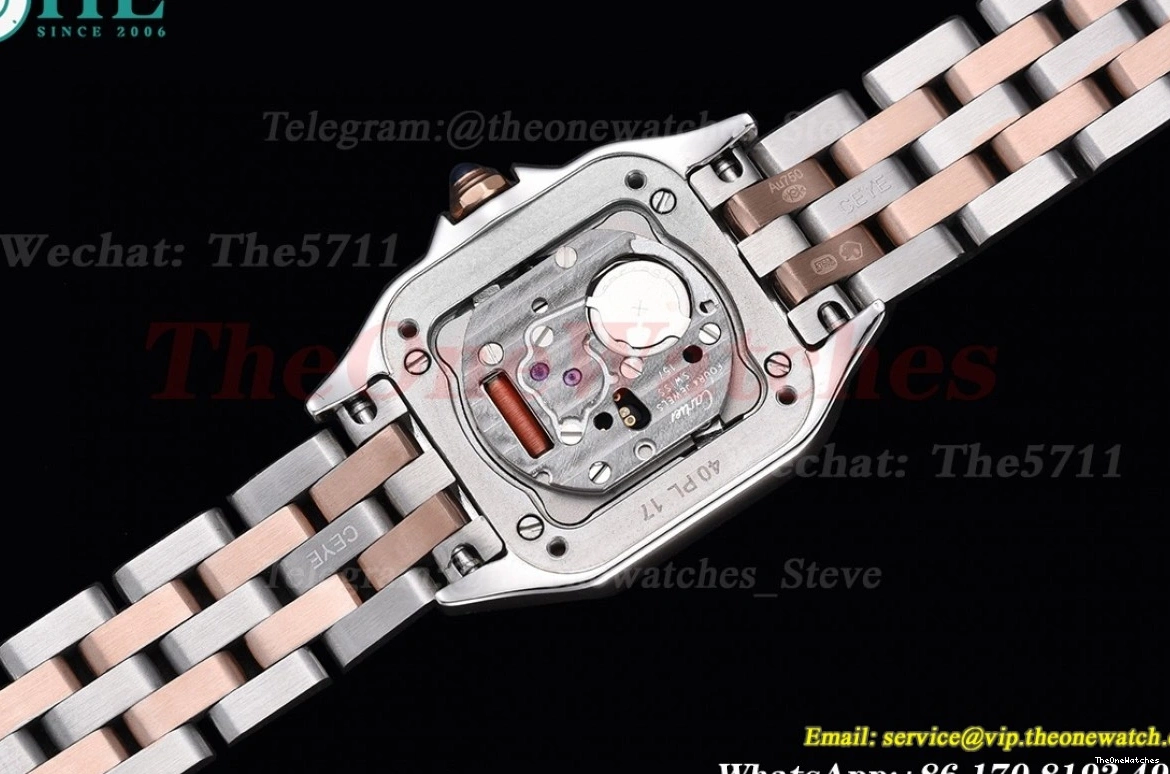 Secrete Ladies RG Dia 8848F Swiss White Panthere 22mm SS De Qtz Dial 0517